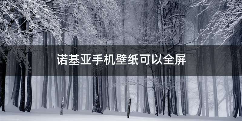 诺基亚手机壁纸可以全屏