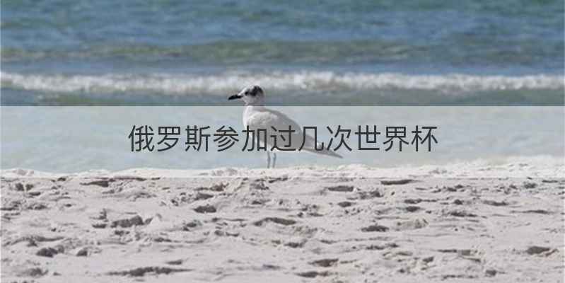 俄罗斯参加过几次世界杯