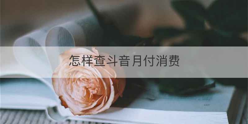 怎样查斗音月付消费