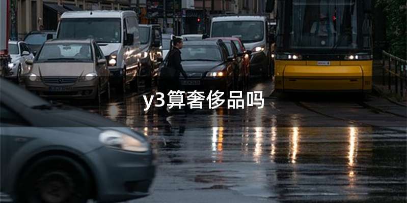 y3算奢侈品吗