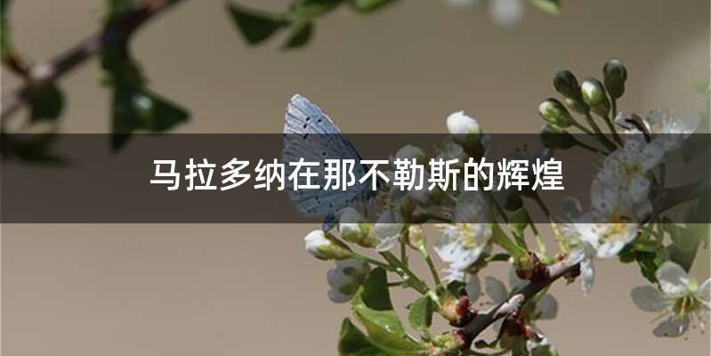 马拉多纳在那不勒斯的辉煌