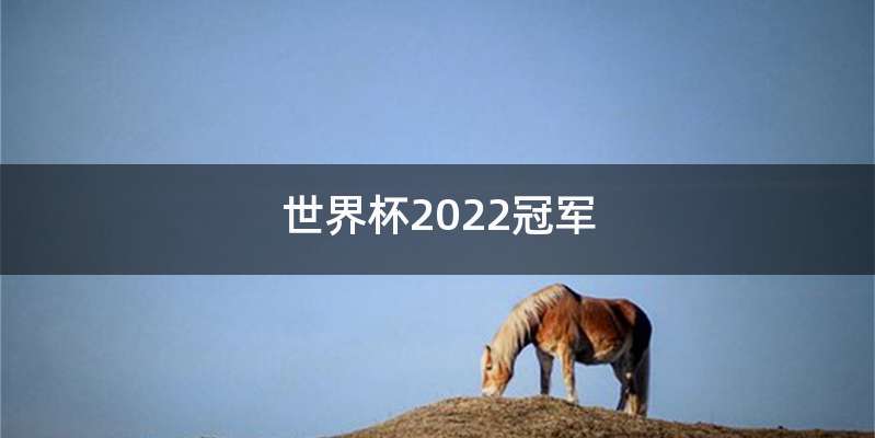 世界杯2022冠军