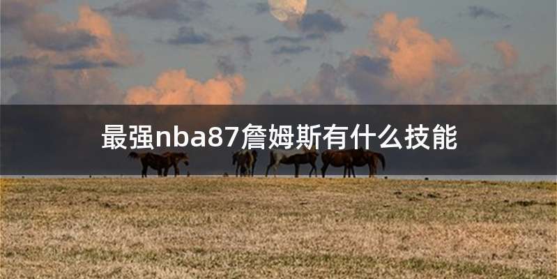 最强nba87詹姆斯有什么技能