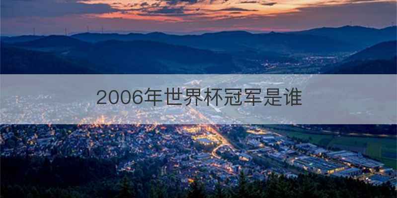 2006年世界杯冠军是谁