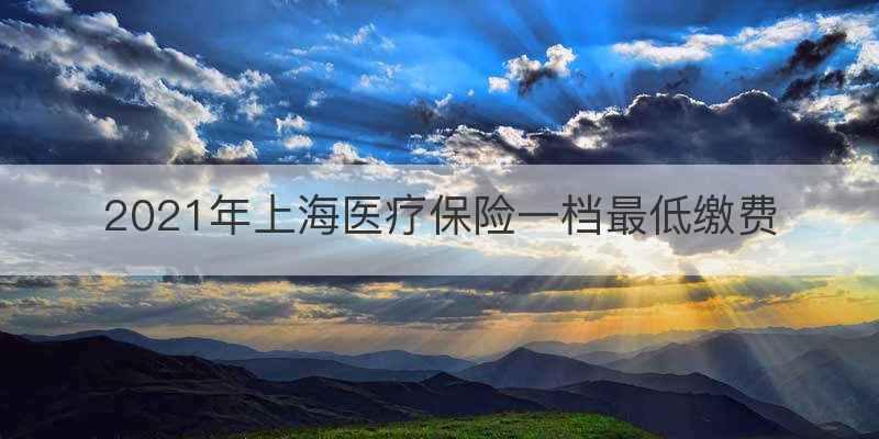 2021年上海医疗保险一档最低缴费
