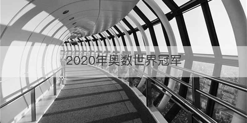 2020年奥数世界冠军