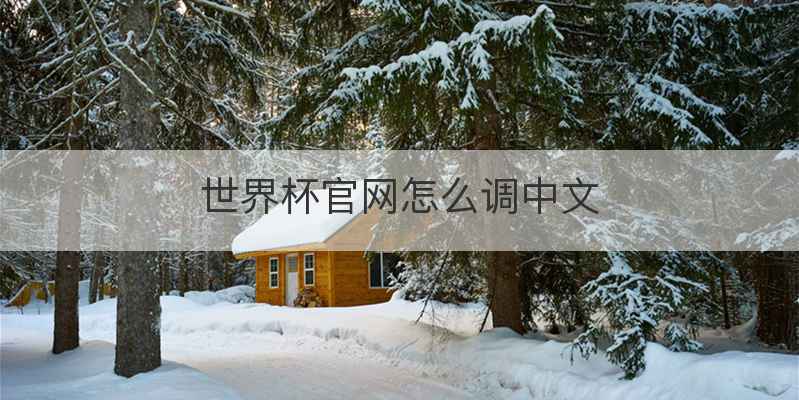 世界杯官网怎么调中文