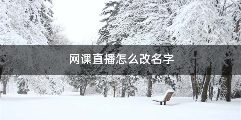 网课直播怎么改名字