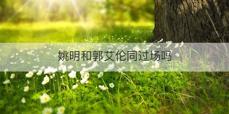 姚明和郭艾伦同过场吗