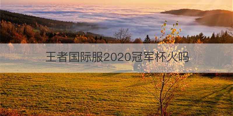 王者国际服2020冠军杯火吗