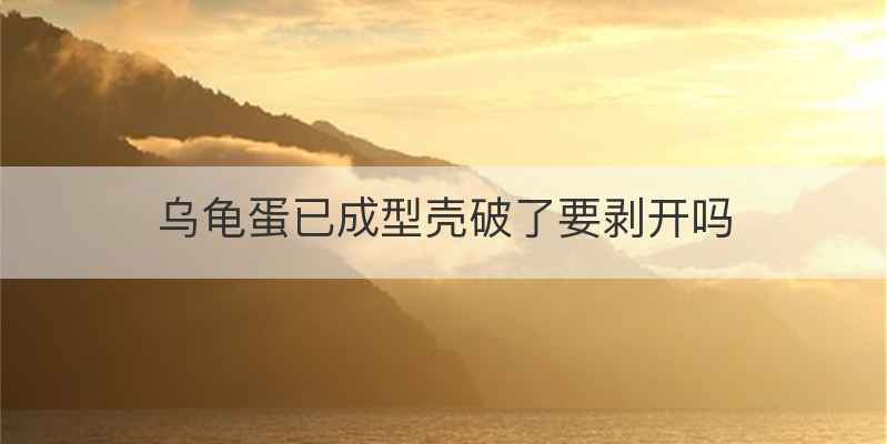 乌龟蛋已成型壳破了要剥开吗