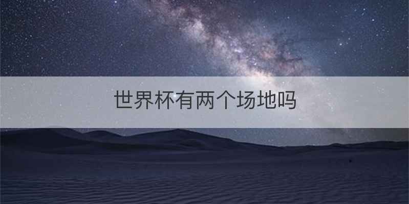 世界杯有两个场地吗