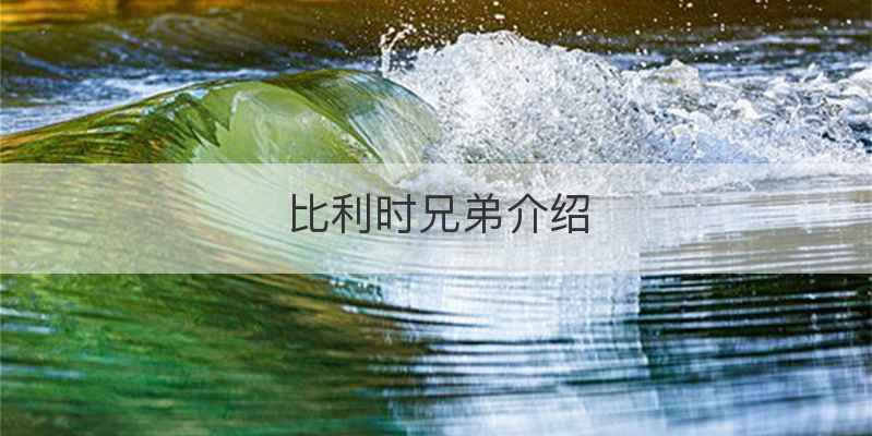 比利时兄弟介绍