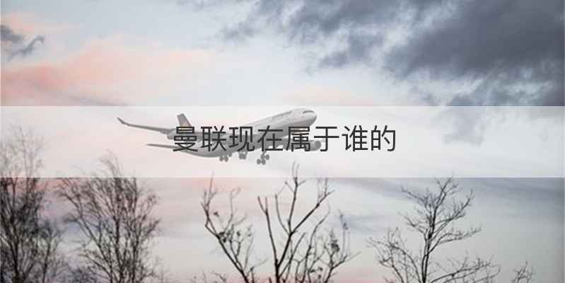 曼联现在属于谁的