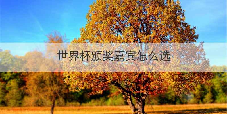 世界杯颁奖嘉宾怎么选