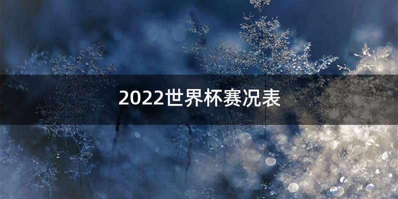 2022世界杯赛况表