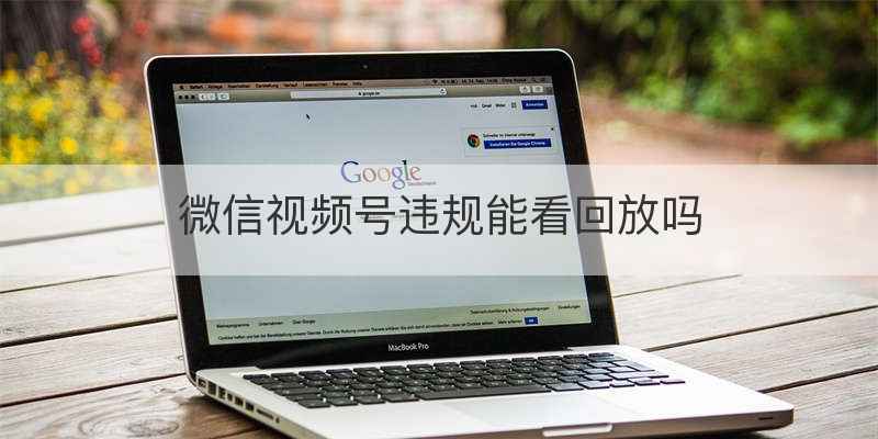微信视频号违规能看回放吗