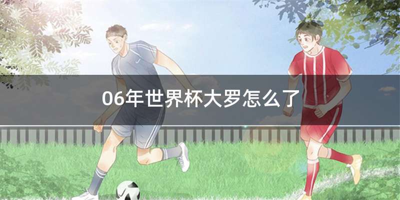 06年世界杯大罗怎么了