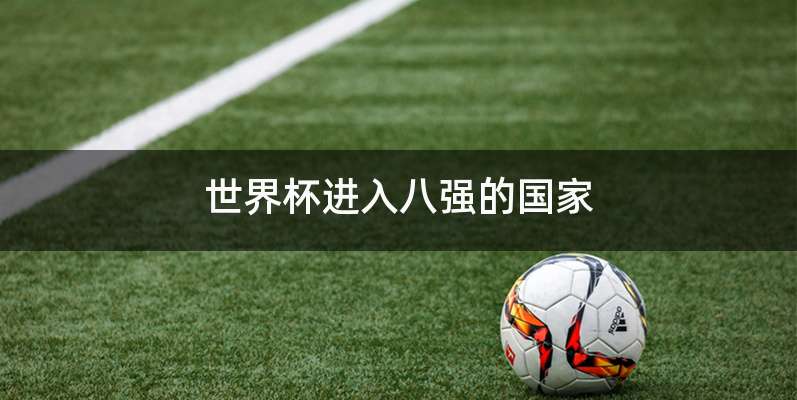 世界杯进入八强的国家
