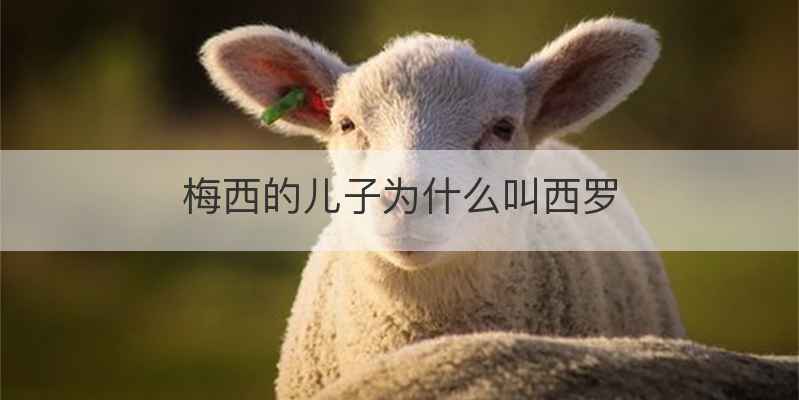 梅西的儿子为什么叫西罗