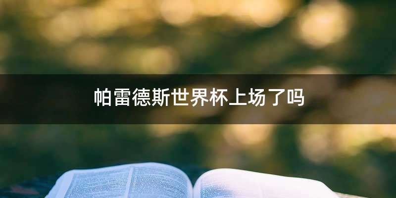 帕雷德斯世界杯上场了吗