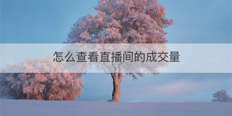 怎么查看直播间的成交量