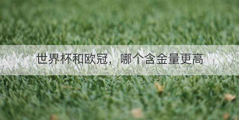 世界杯和欧冠，哪个含金量更高