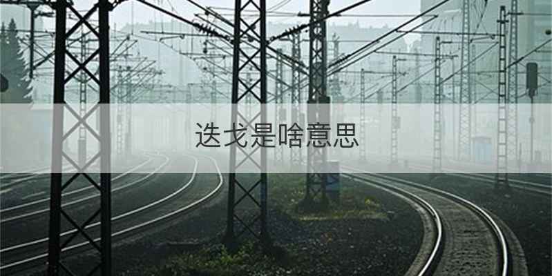迭戈是啥意思