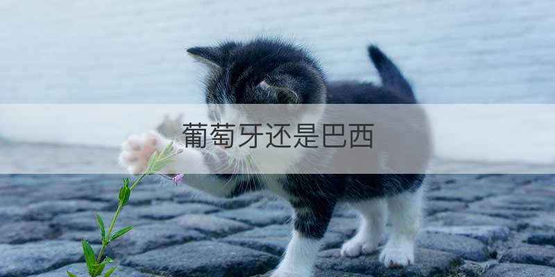 2014年西班牙世界杯小组赛成绩