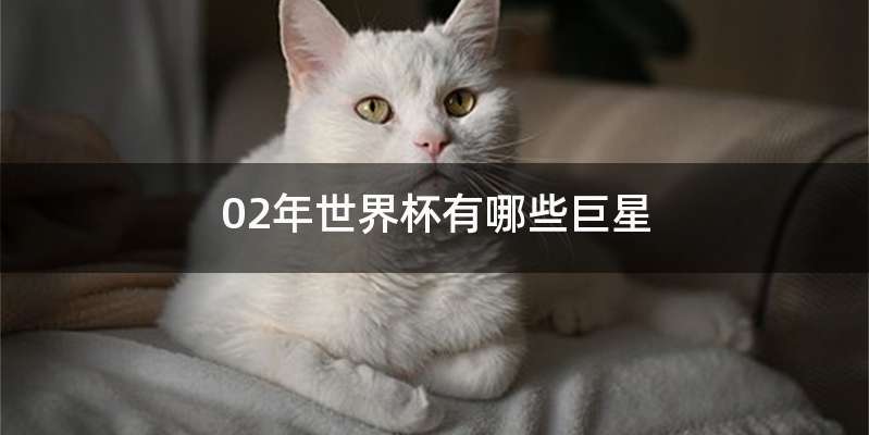 02年世界杯有哪些巨星