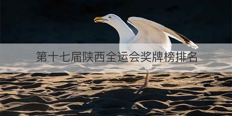 第十七届陕西全运会奖牌榜排名