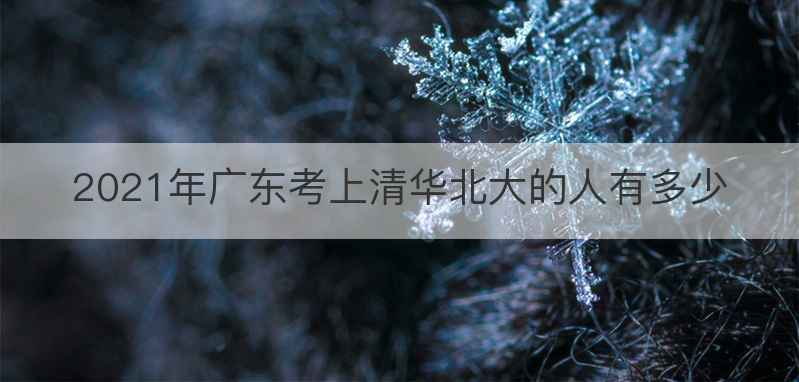 2021年广东考上清华北大的人有多少