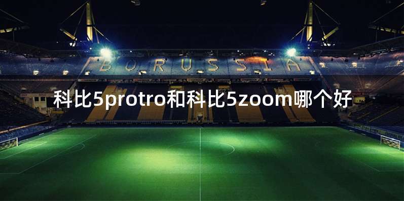 科比5protro和科比5zoom哪个好