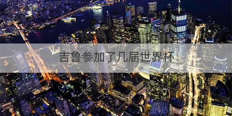 吉鲁参加了几届世界杯