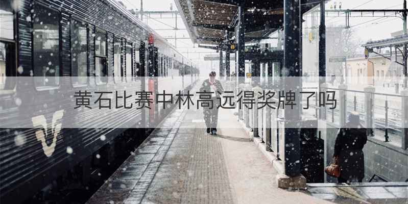 黄石比赛中林高远得奖牌了吗