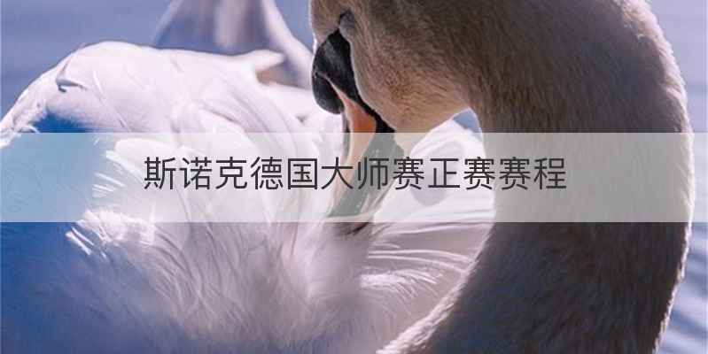 斯诺克德国大师赛正赛赛程