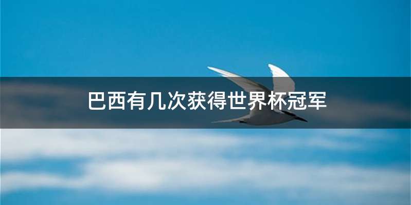 巴西有几次获得世界杯冠军