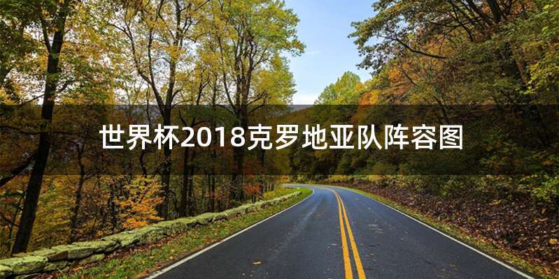 世界杯2018克罗地亚队阵容图