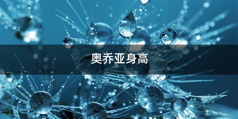 奥乔亚身高