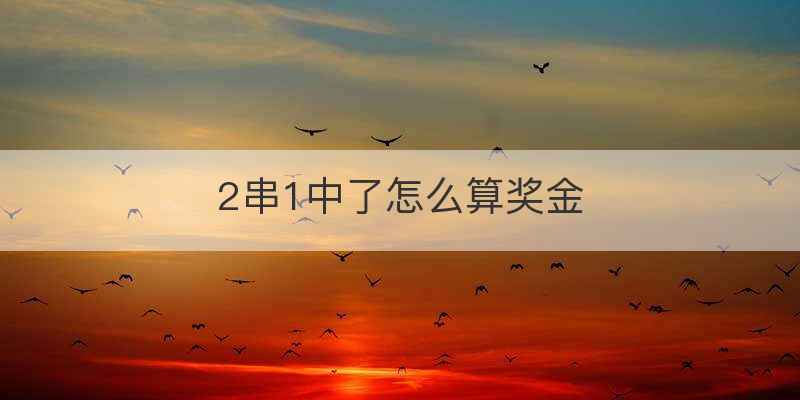 2串1中了怎么算奖金