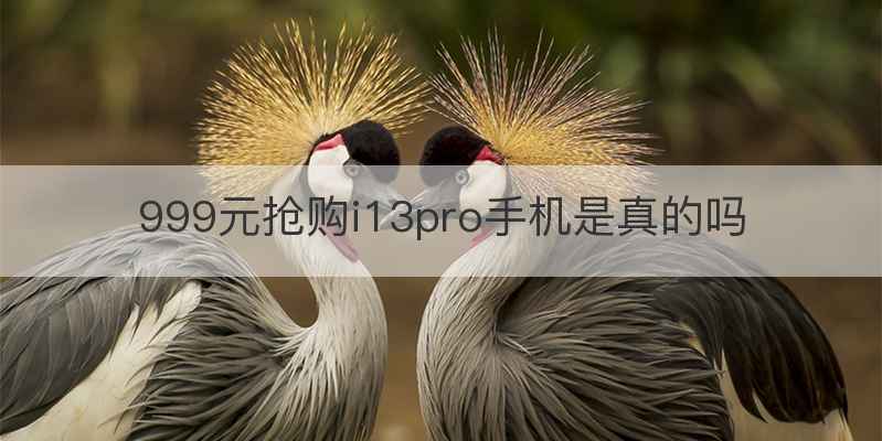 999元抢购i13pro手机是真的吗