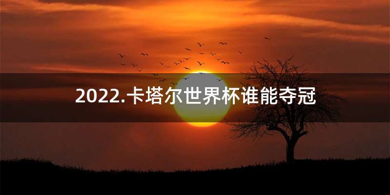 2022.卡塔尔世界杯谁能夺冠