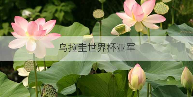 乌拉圭世界杯亚军