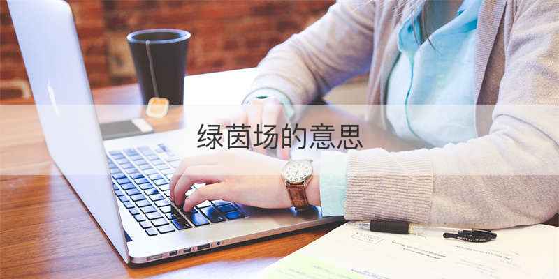 绿茵场的意思
