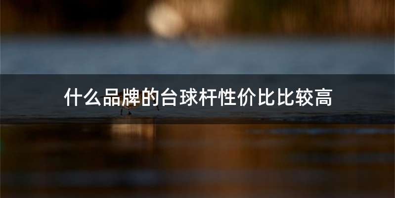 什么品牌的台球杆性价比比较高