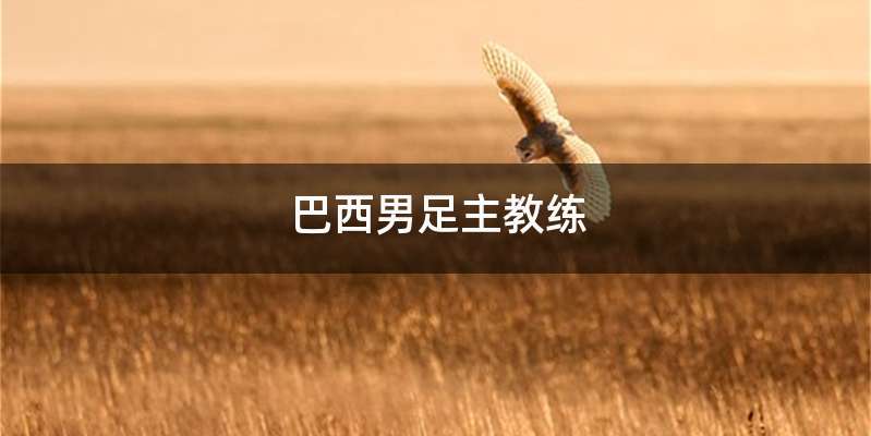 巴西男足主教练