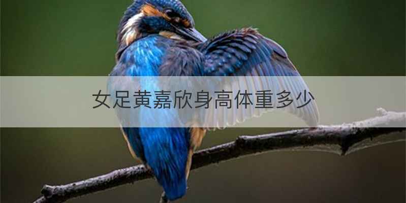女足黄嘉欣身高体重多少