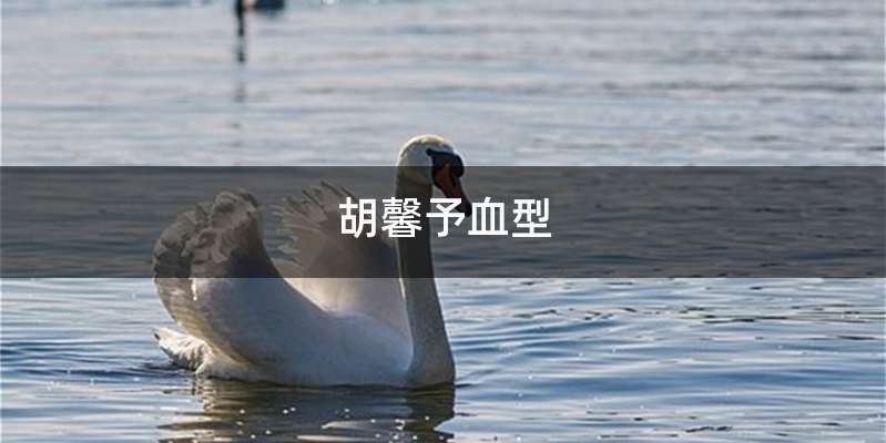 胡馨予血型