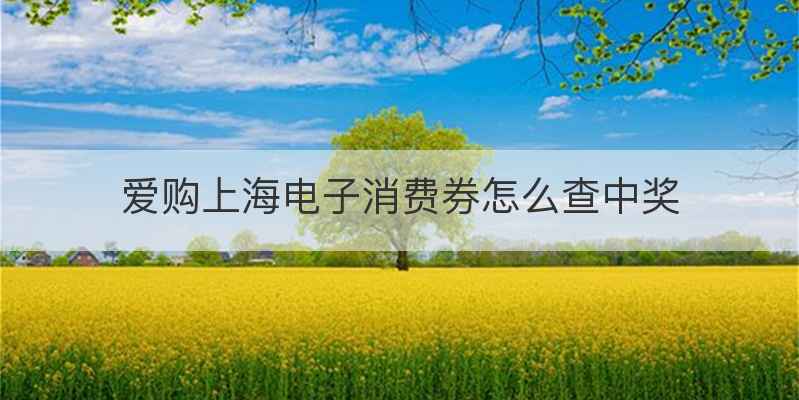 爱购上海电子消费券怎么查中奖