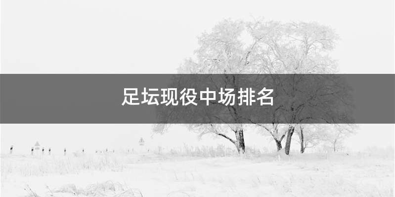 足坛现役中场排名